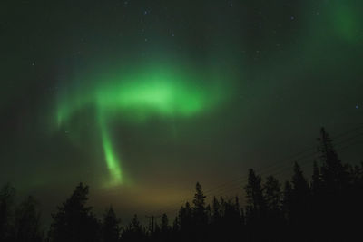 Low angle view of silhouette trees against sky at night