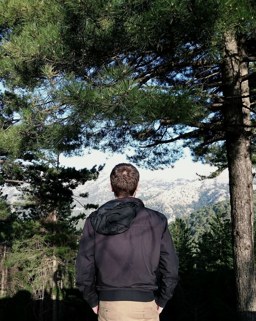 tree, lifestyles, men, rear view, leisure activity, standing, casual clothing, growth, green color, nature, three quarter length, plant, day, waist up, tranquility, person, outdoors, forest