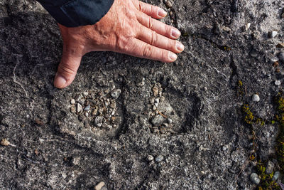 Cropped hand of person on rock