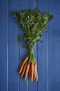 High angle view of vegetables on table against blue background