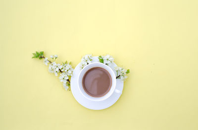 Directly above shot of tea cup against white background