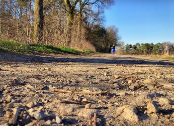 Surface level of road amidst trees on field