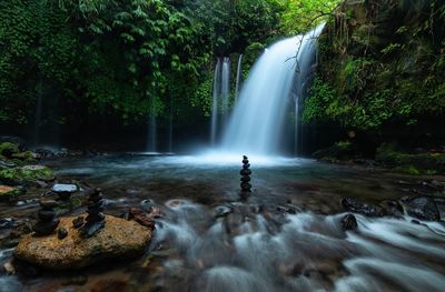 Scenic view of waterfall in forest