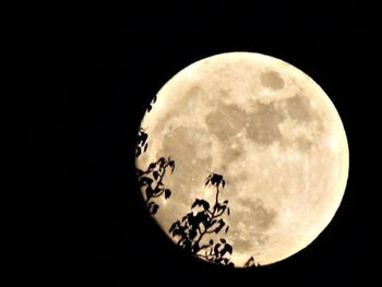 Low angle view of moon in sky