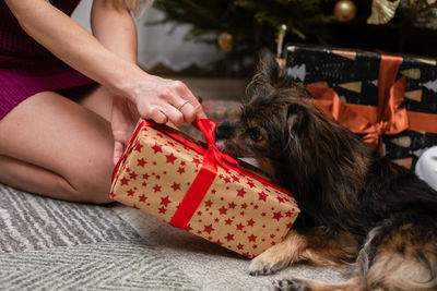 Midsection of woman with dog