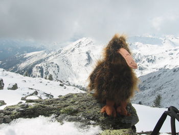 Monkey on snow covered mountains against sky