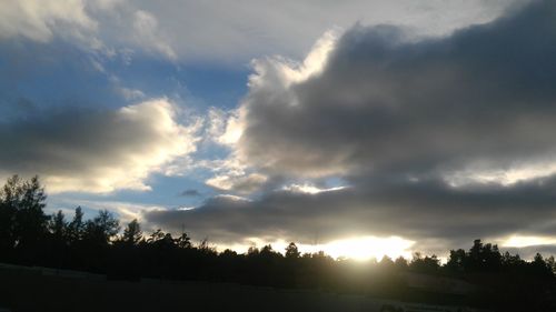 Silhouette trees against sky during sunset