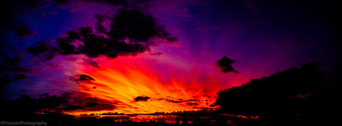 Low angle view of silhouette trees against dramatic sky