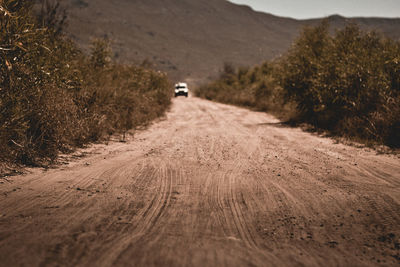 Dirt road amidst trees and land