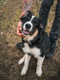 Cropped image of man touching dog