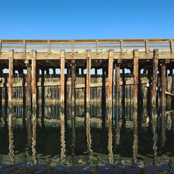 Wooden posts in water against clear blue sky