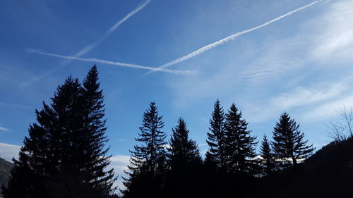 Trees against vapor trail in sky