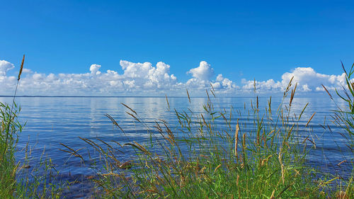 Scenic view of sea against blue sky
