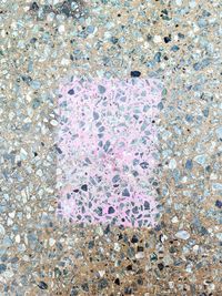 High angle view of leaves in water