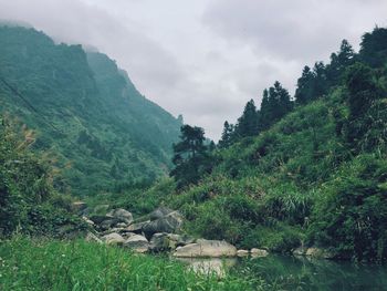 Scenic view of mountains against cloudy sky
