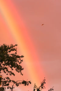Low angle view of silhouette birds flying against orange sky