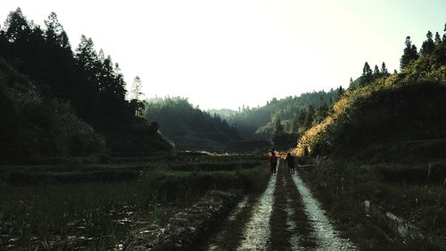 Man walking on road amidst field against clear sky