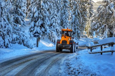 Snow covered road amidst trees during winter