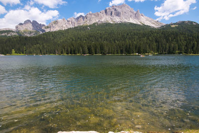 Scenic view of lake by trees against sky