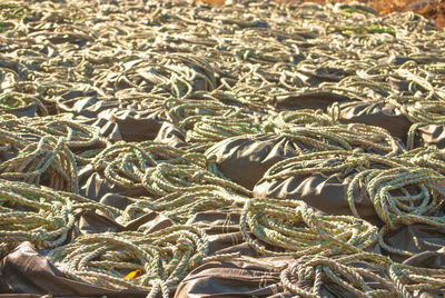 Full frame shot of fishing net