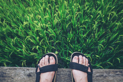 Low section of person standing on boardwalk by grass