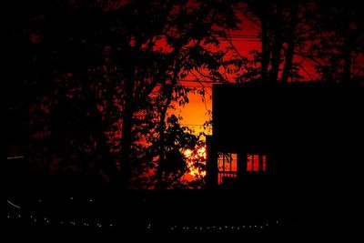 Silhouette trees against illuminated building at night