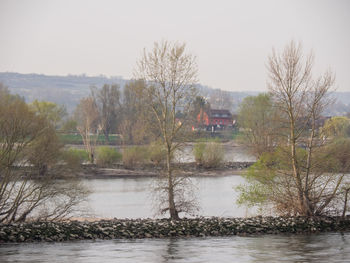 River flowing amidst bare trees against sky