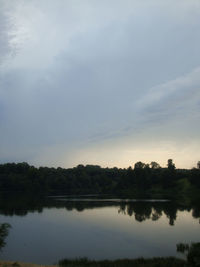 Reflection of trees in lake