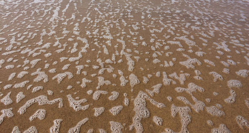 Full frame shot of wet sand