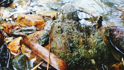 Close-up of rocks in water