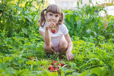 Portrait of cute girl with basket of strawberries while crouching in field