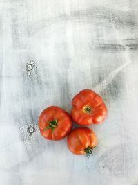 High angle view of tomatoes over white background