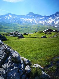 Sumertime. engstligenalp