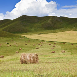 Hay bales on field against sky