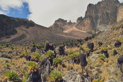 Scenic view of rocky mountains against sky, mount kenya national park, kenya 