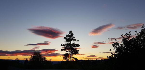 Low angle view of silhouette trees against sky during sunset