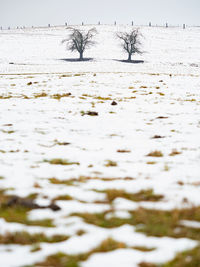 Scenic view of snow covered field