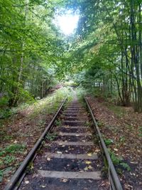 Railroad track amidst trees in forest