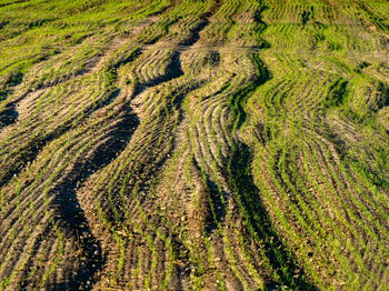 Full frame shot of plowed field. farming