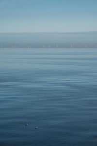 Anholt wind farm seen from sangstrup cliffs