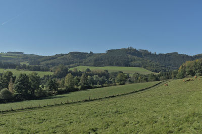Scenic view of landscape against clear sky