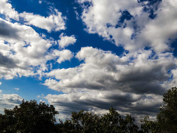 Low angle view of trees against cloudy sky