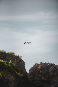 Bird flying over rock formation against sky