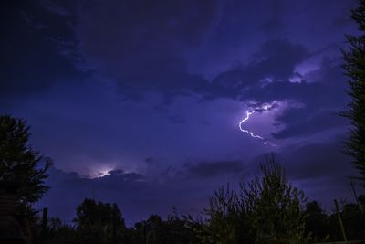 Low angle view of lightning in sky at night