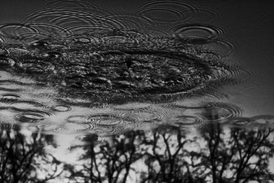 Close-up portrait of a lake