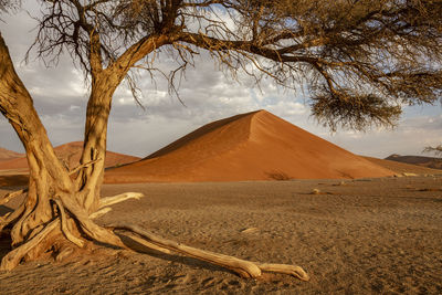 Scenic view of desert against sky