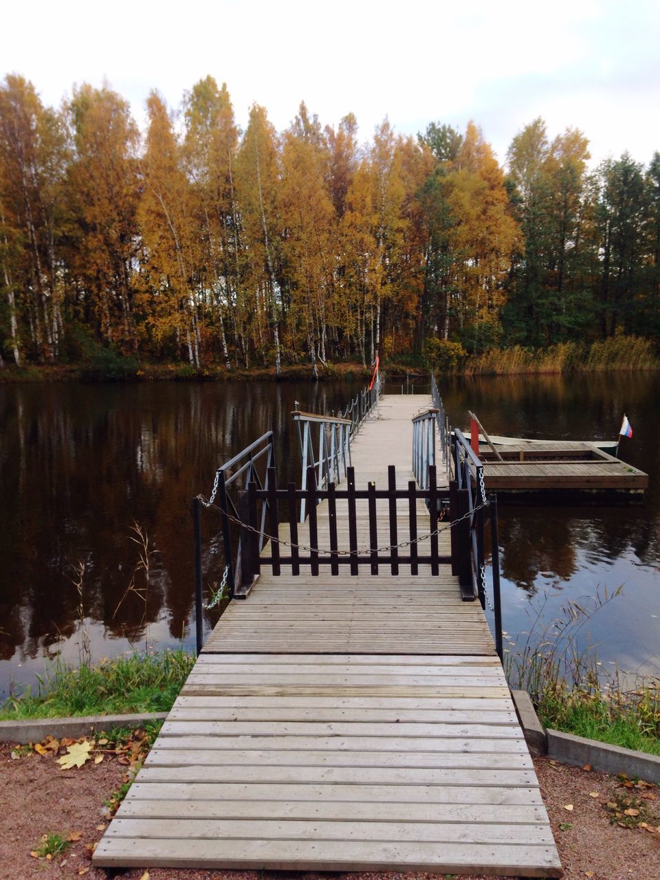 tree, water, lake, nature, pier, jetty, tranquility, beauty in nature, tranquil scene, outdoors, autumn, day, scenics, sky, no people, growth, full length, nautical vessel