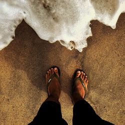 Low section of man standing on beach