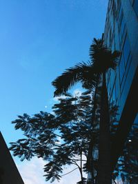 Low angle view of silhouette palm tree against clear blue sky