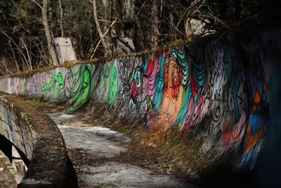 Graffiti on wall by trees